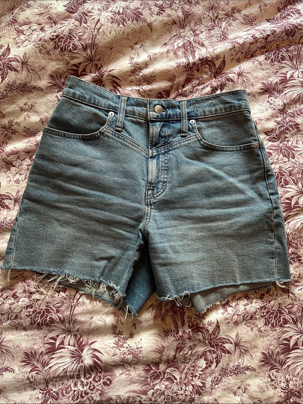 Madewell Blue Denim Cutoff Shorts